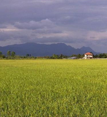 Mae Chan House | Princess's Palace B