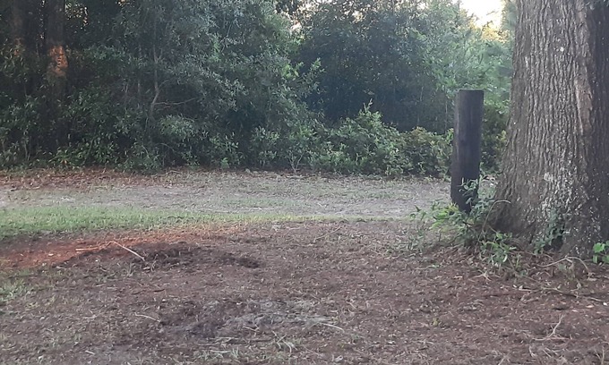 High Springs RV Rental | Private, 1 Mile to Poe, 4 miles to Blue, 6 Miles to Ginnie. Tent/Camper camping