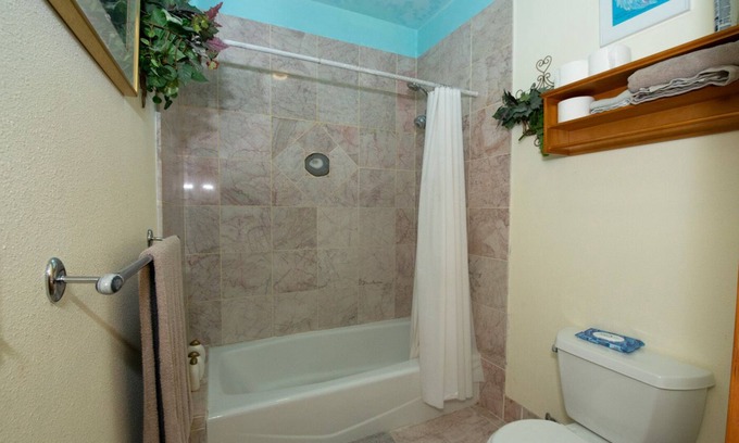 Bear Valley Bed & Breakfast | Private bedroom bath suite in large home, co-op kitchen Den Dog Ok