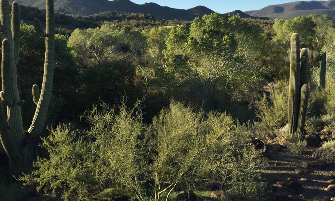 Cave Creek Cottage | Private Casita in Cave Creek