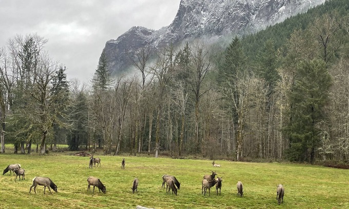 North Bend Cottage | Private downtown home VIEWS -OUTDOOR TUBS + Fire Pit