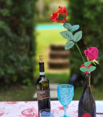 Calmasino Apartment | Private Garden Giardino Privato a Bardolino - House Amorino