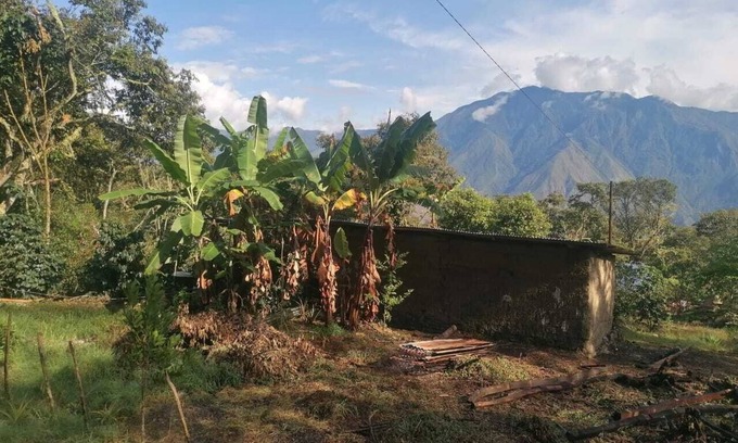 Quillabamba Bed & Breakfast | Private jungle ecolodge - whole estate & cafés