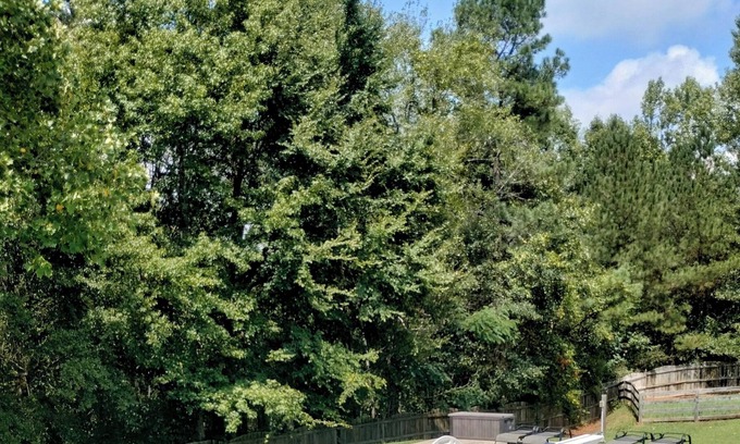 Villa Rica House | PRIVATE POOL -2 kitchens - 5k ft./ - 6 FLAGS- GAME ROOM 859928