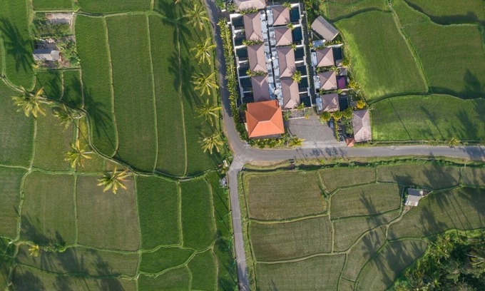Kenderan Villa | Private Pool, Nestled among emerald rice fields