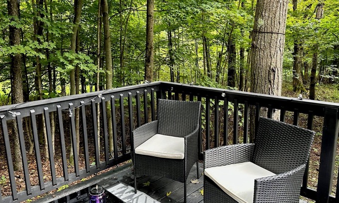 Dushore Cabin | Private Tiny Cabin in Dushore! A Nature Lovers Dream