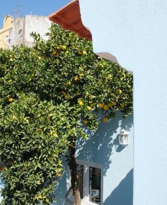 Alfama Apartment | Proa d'Alfama Guest House