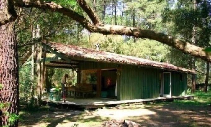 Soorts-Hossegor House | Promo juillet Wooden house in the heart of the Landes forest near Lac d'Hossegor