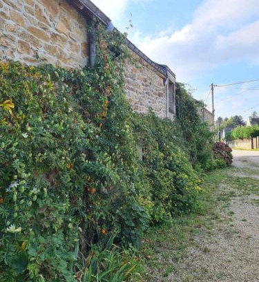 Theix-Noyalo House | Propriete d'une chambre avec piscine partagee et terrasse a Theix a 9 km de la plage