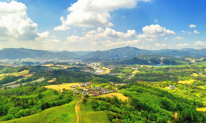 Daegwallyeong Hotel | Pungcha & Herb Pension