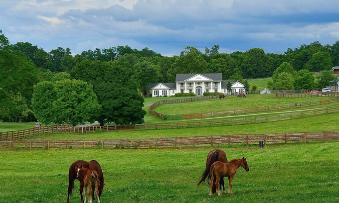 Georgetown House | Queenslake Mansion and Horse Farm