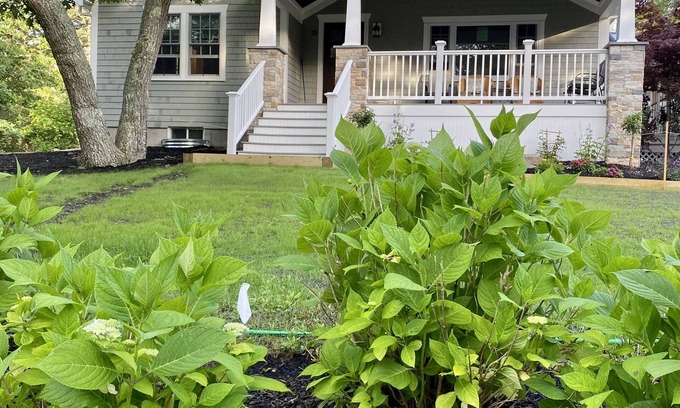 East Harwich House | Quiet Cul-de-Sac, Beach & Rail Trail Minutes Away