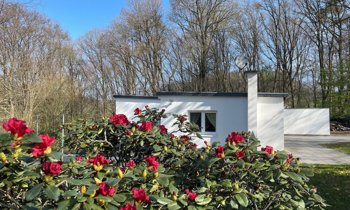 Wermelskirchen House | Quiet vacation home for max. 4 people in the most beautiful natural surroundings at the Dhünntalsperre dam