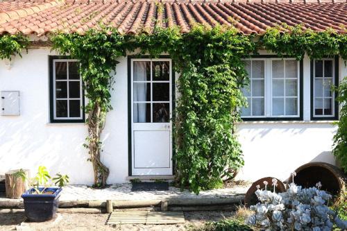 Atalaia Apartment | Quinta Maria Gil - B