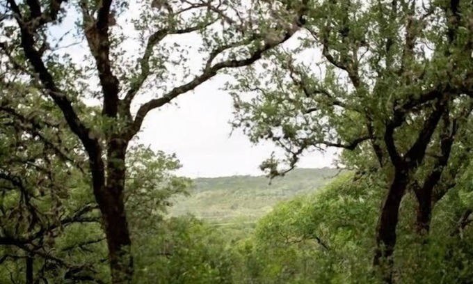 Helotes Cabin | Quirky, Tiny Lodge and San Antonio Hill Country