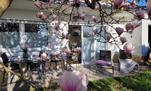 Niedenstein Apartment | R'AUSZEIT