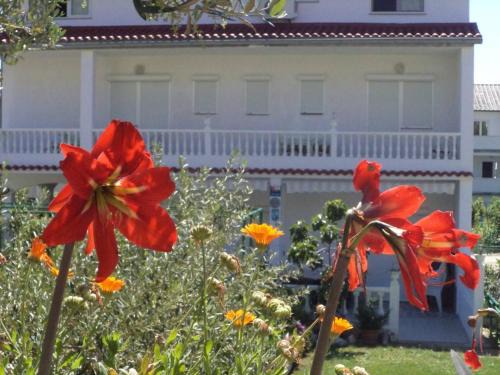 Palit House | Rab Paradise Villa -3 Bedrooms 3 Bathrooms