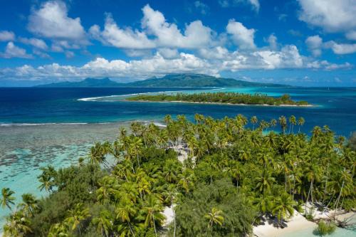Teahupoo House | RAIATEA - Fare Apetahi