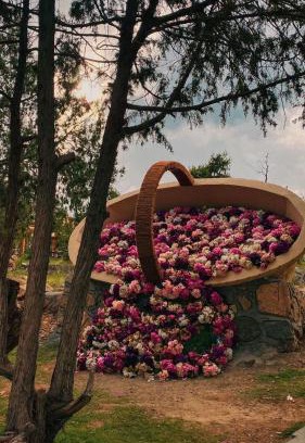 Ash Shafa Resort | Rawaat Ghaym