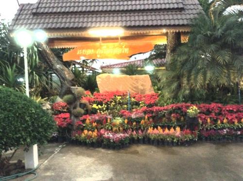 Phu Ruea Resort | Rayong Phurua Resort