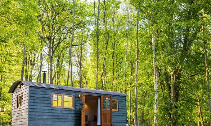 Maidensgrove Apartment | Red Kite Retreat - Allium - Shepherds Hut 2