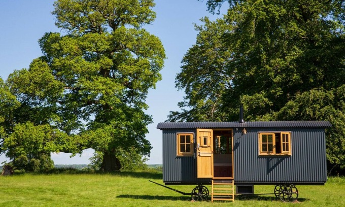 Stonor Cabin | Redwood - Shepherds hut
