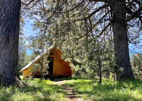 Pueblo Nuevo Ski Chalet | Refugio en la Montaña Parque La Pirámide