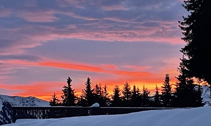 Les Saisies Apartment | Reindeer forest apartment