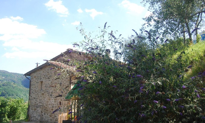 Pescia Apartment | Relax al Poggio