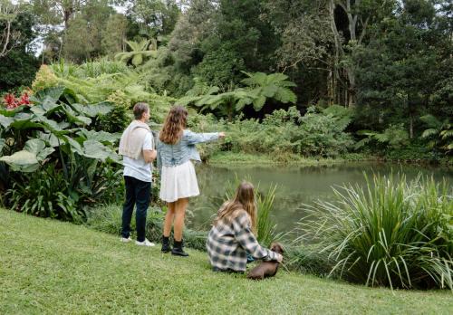 Maleny House | Relax Unwind This Summer at Nordic Star with Lake View