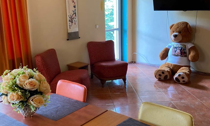 Predeal Villa | Relaxare,cantec de pasarele si peisaje cu multa verdeata la cota 1200!