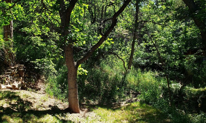 Rapid City Cabin | Remodeled home in the woods, just past city limits. With horse pasture nearby!