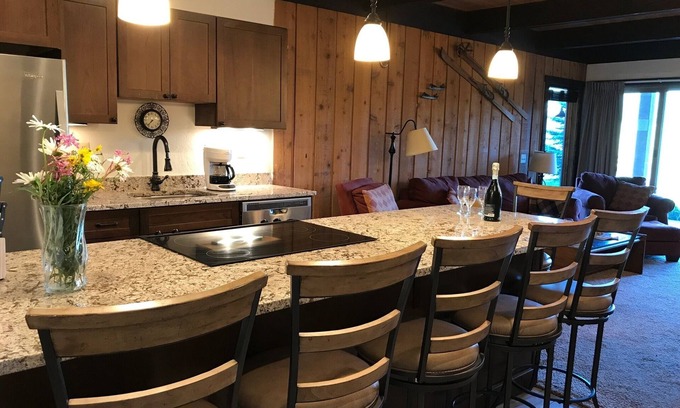 Crested Butte Condo | Remodeled ski in/ski out condo in Mt Crested Butte with incredible views!