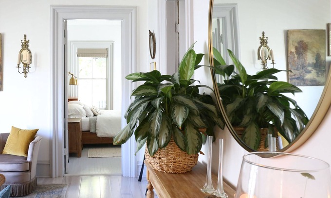 Ithaca House | Remodeled1800s Victorian in heart of Ithaca- Close to parks and downtown