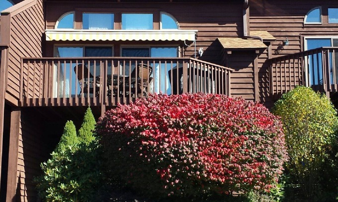 McHenry House | Renovated lakeside condo with Wisp views, community pool & more!
