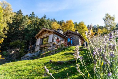 San Giacomo Filippo Ski Chalet | Res Albert - Chalet con Vista sulle Montagne