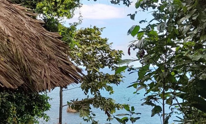 Arusi Other | Reserva Natural Selva Mojada