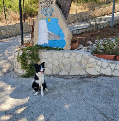 Defensola Apartment | Residence Dolce Far Niente