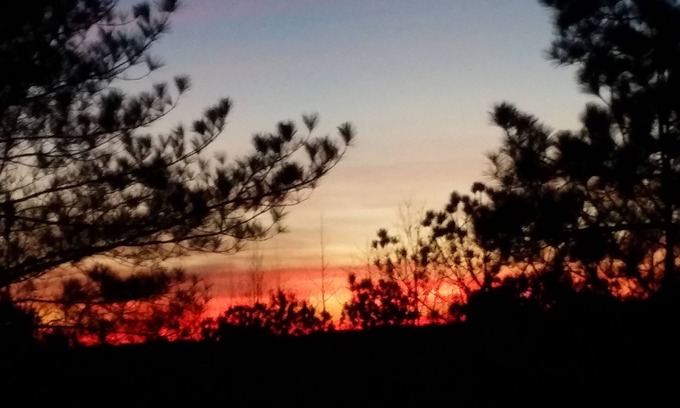 Dadeville Cabin | Rest-Relax-Reconnect-Renew in beautiful, serene, wooded, gated Lake Martin Cabin