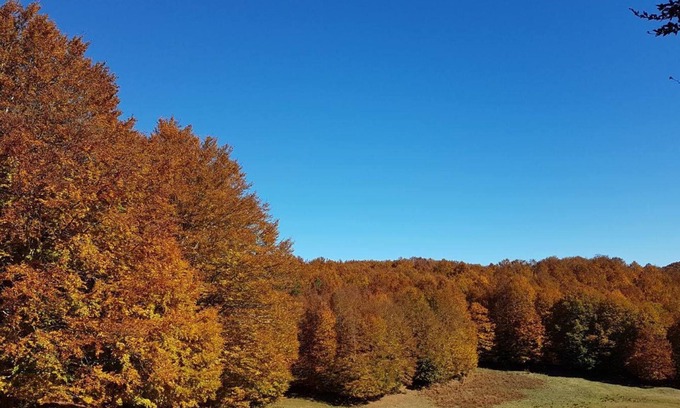 Celico Hotel | Ristorante Albergo Rifugio Montescuro