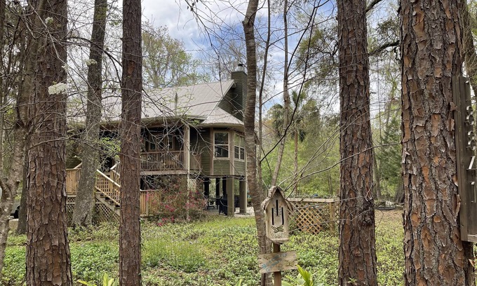 High Springs House | River cottage on the wild and scenic Santa Fe River in High Springs, Florida.