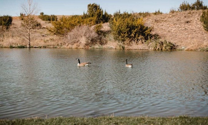 Amarillo Cabin | River Falls Venue & Lodges Two Bedroom Lodge