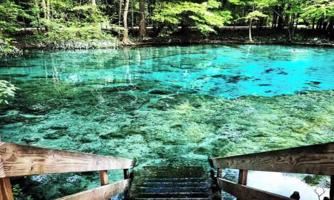 High Springs House | Riverfront Forest Retreat - Near Springs & UF! 3BR/2BA on the Santa Fe River!