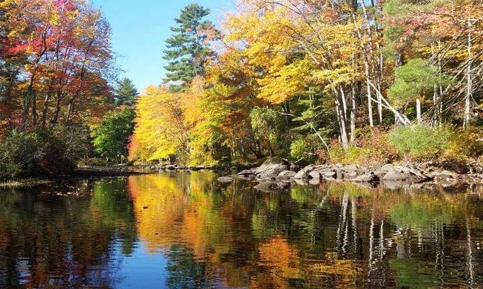Carroll County House | Rivers Edge: Modern, Huge Riverfront & Yard, Kayaks - Dog OK, Grill, Fast WiFi
