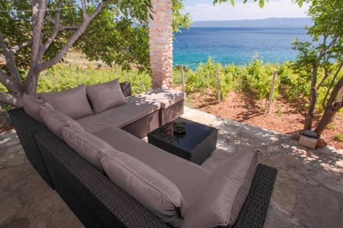 Bol House | Robinson Capitano