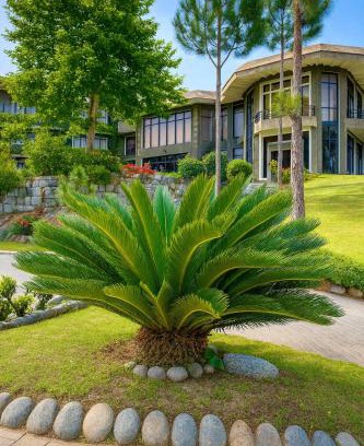 Mingora Hotel | Rock City Resort