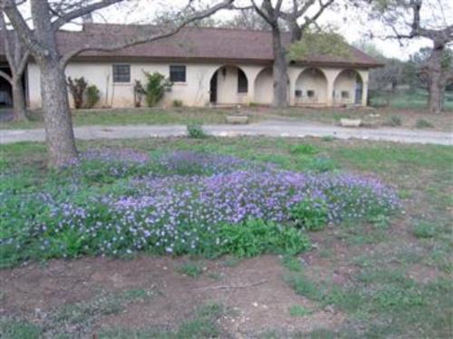 Utopia House | Rock 'N Utopia