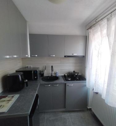 Arad Apartment | Romana Arad