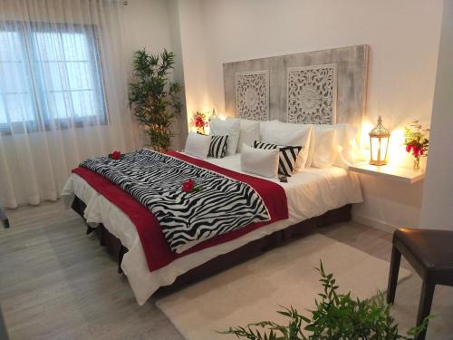 El Guincho Apartment | Room Plaza San Marcos CASCO HSTORICO