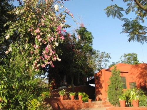 Desuri Hotel | Roopam Resort Ranakpur